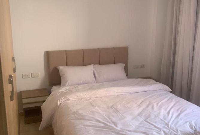 8098298 - Property Image 3