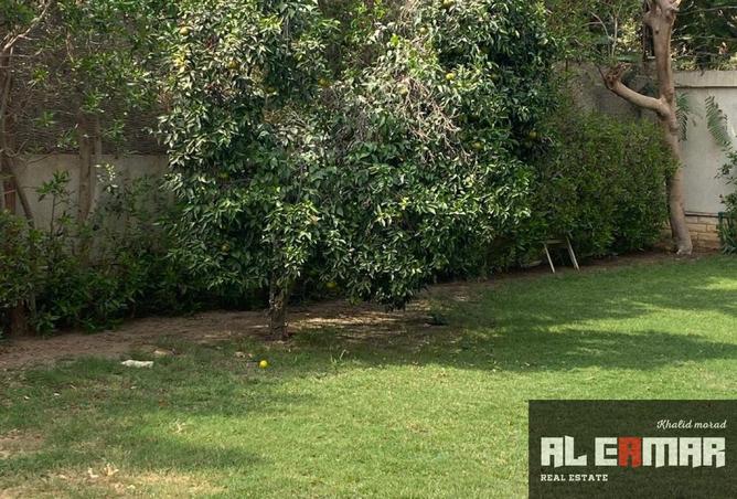 8098429 - صورة العقار 3