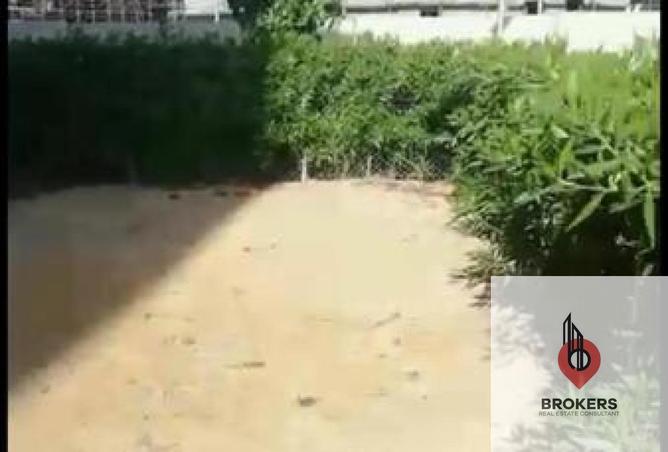 8099028 - صورة العقار 2