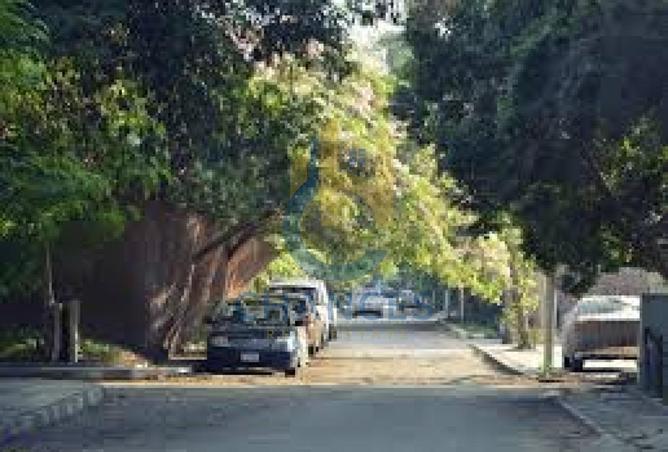 8099416 - صورة العقار 3