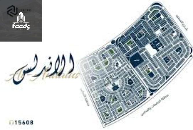 8099978 - Property Image 2