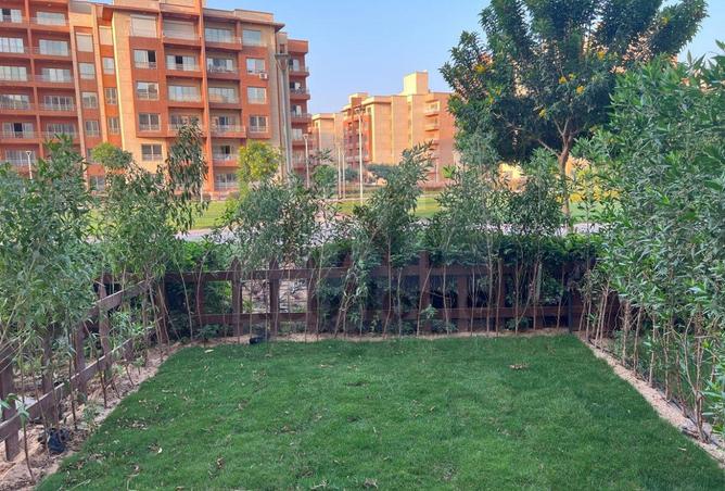 8114369 - صورة العقار 2