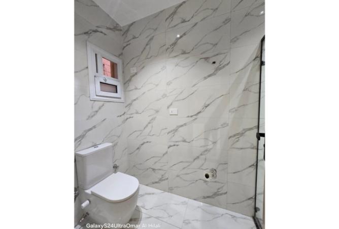 8100482 - Property Image 3