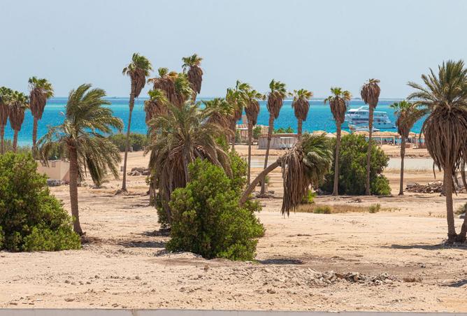 8101648 - صورة العقار 2