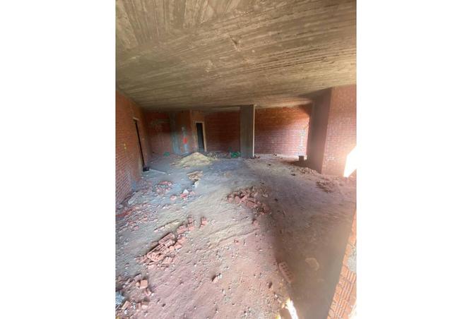 8102076 - Property Image 3