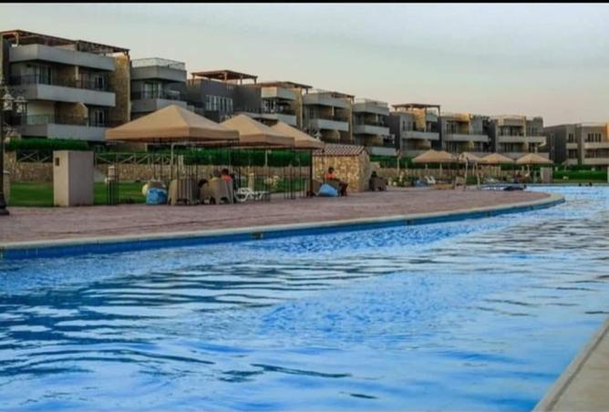 8113203 - صورة العقار 3