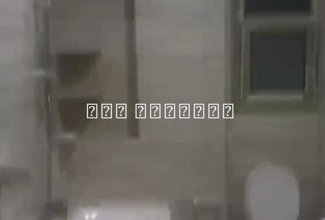 8102466 - Property Image 2