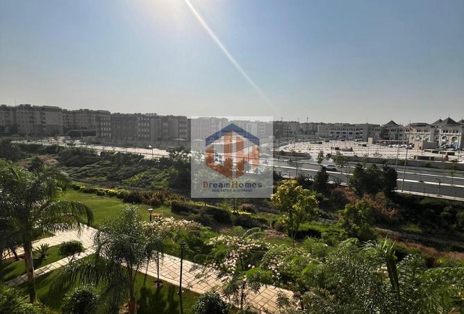 8103352 - Property Image 2