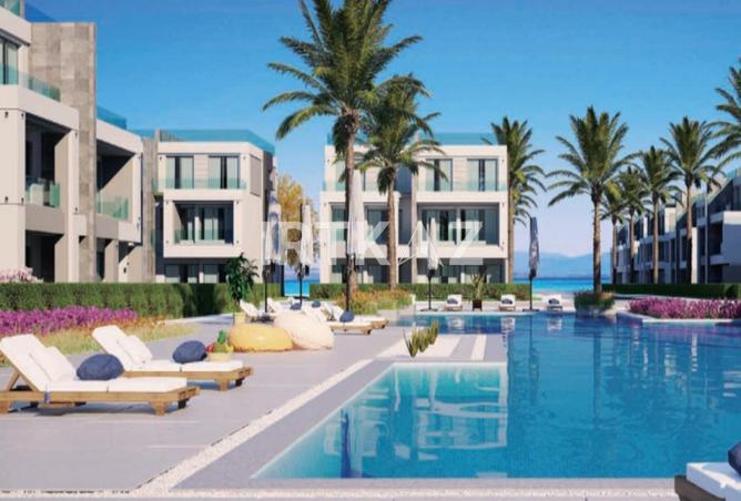 8253779 - Property Image 3