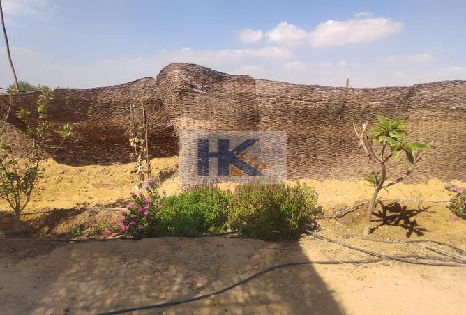 8103280 - Property Image 2