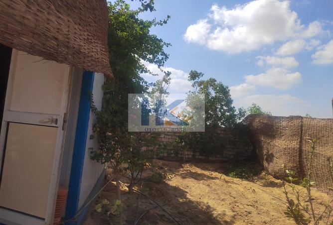 8103280 - Property Image 3