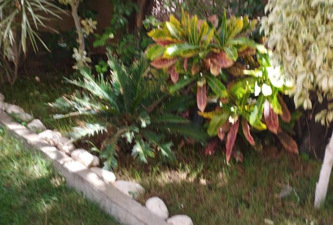 8103692 - الصورة الرئيسية للعقار