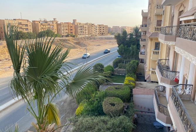 8105249 - صورة العقار 2