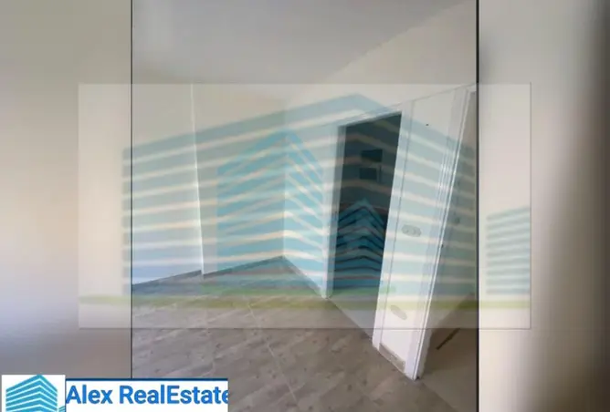 8105299 - Property Image 2