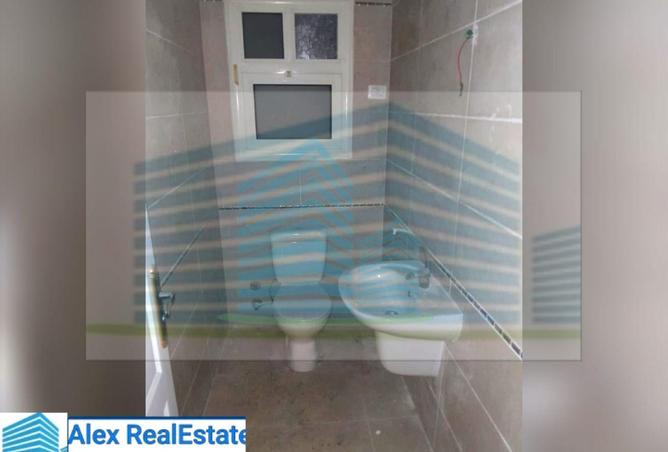 8105306 - Property Image 3