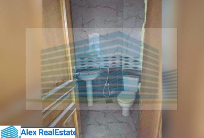 8105335 - صورة العقار 3