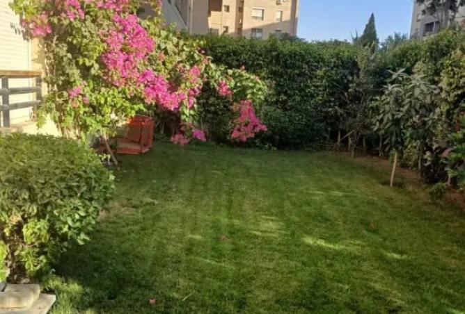 8105602 - الصورة الرئيسية للعقار