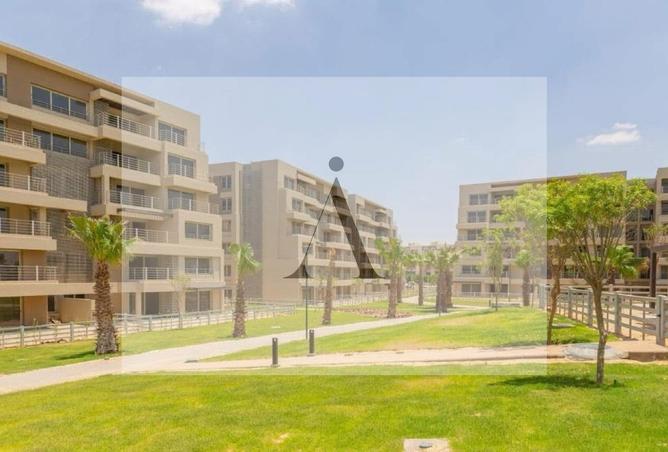 8106161 - Property Image 3