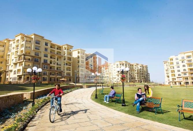 8129062 - صورة العقار 3