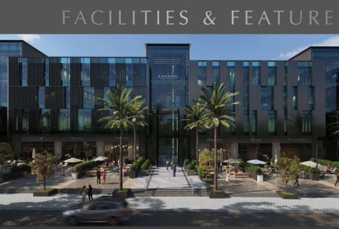 8108198 - Property Image 2