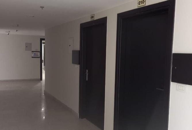 8106767 - صورة العقار 3