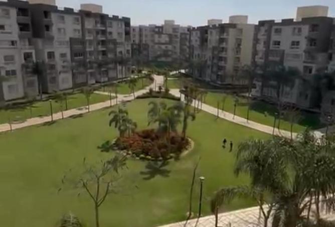 8106546 - Property Image 3