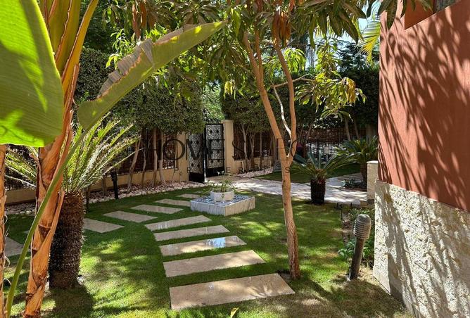 8110219 - Property Image 3