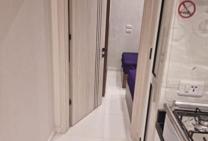 8107504 - Property Image 3