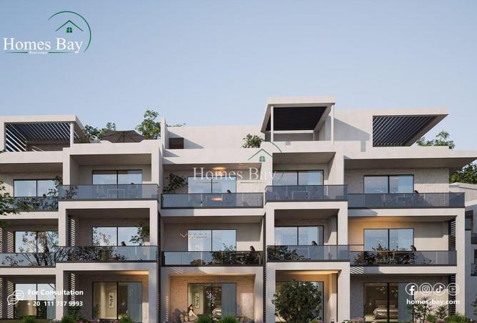 8107911 - Property Image 2