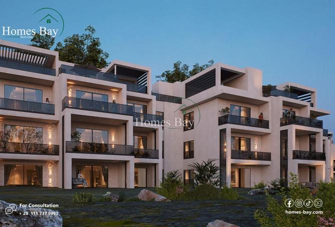 8107911 - Property Image 3