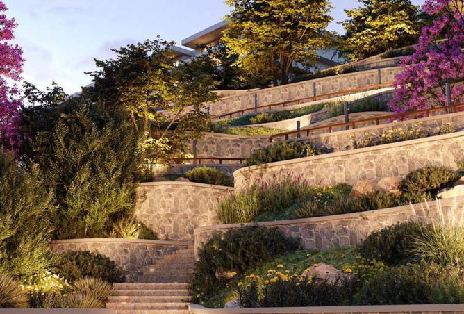 8111537 - صورة العقار 3