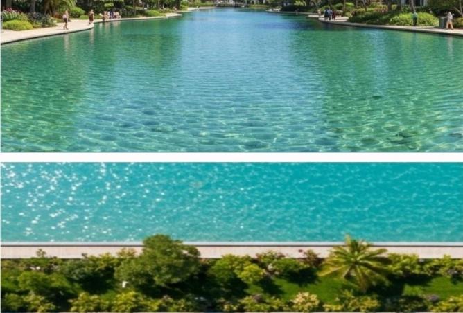 8111624 - صورة العقار 2