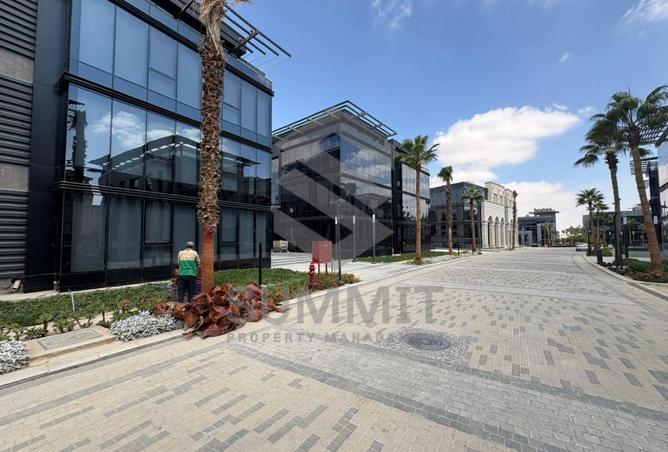 8111980 - صورة العقار 3