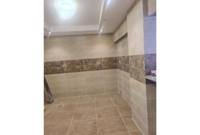 8372393 - Property Image 3