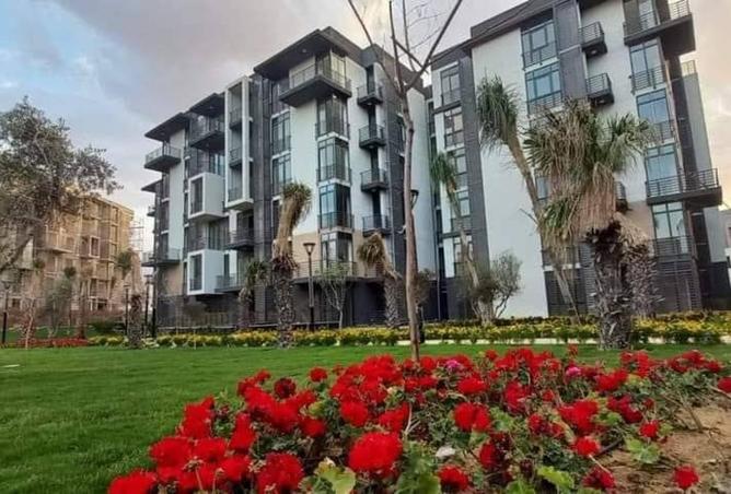 8115050 - صورة العقار 2