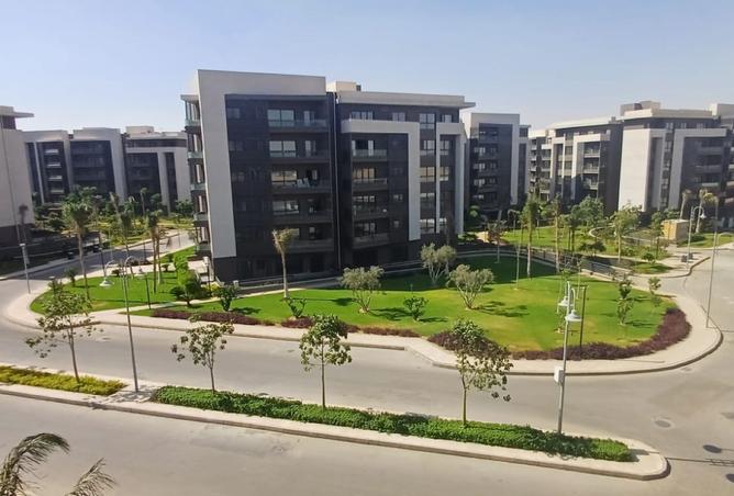 8115179 - صورة العقار 3