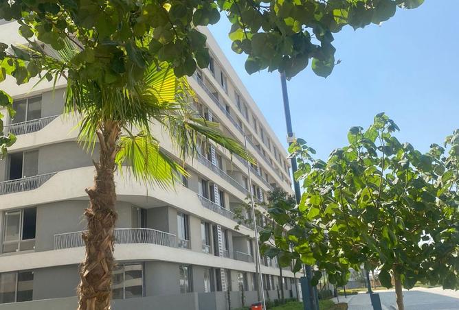 8119811 - صورة العقار 2