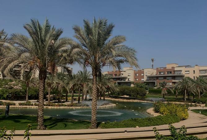 8115446 - Property Image 2