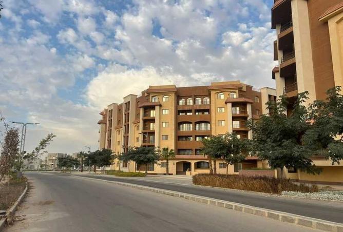 8115445 - صورة العقار 3