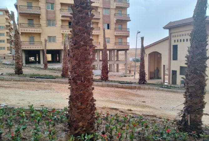 8301173 - صورة العقار 3