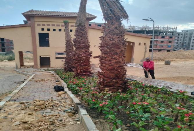 8301173 - صورة العقار 2