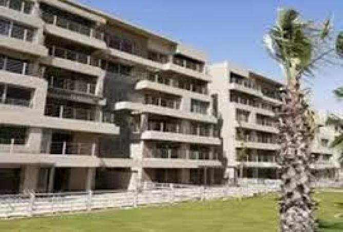 8116053 - Property Image 3