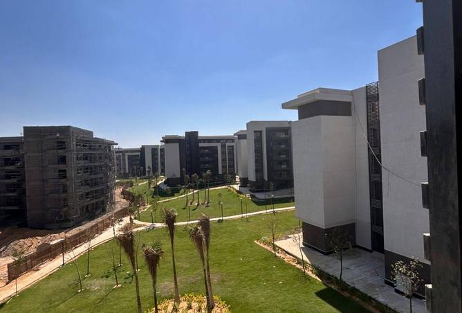 8116255 - صورة العقار 3