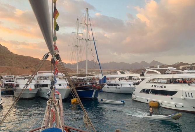 8117129 - صورة العقار 2