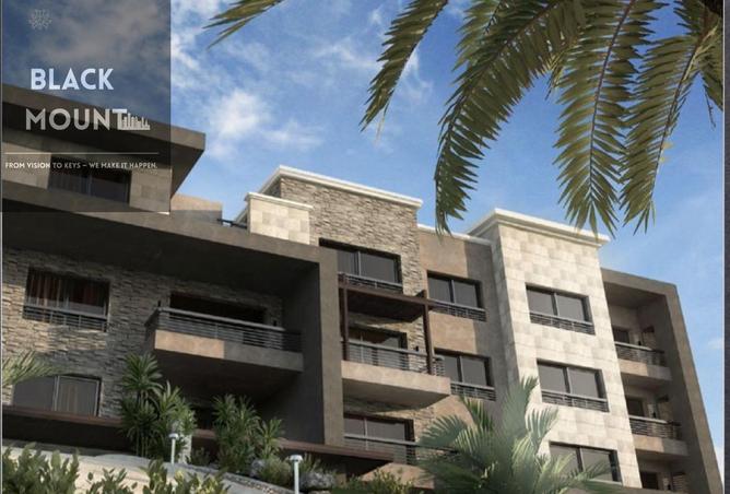 8117234 - Property Image 2