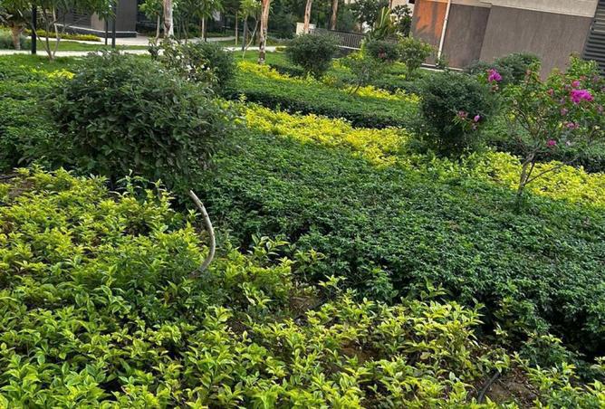 8117764 - الصورة الرئيسية للعقار