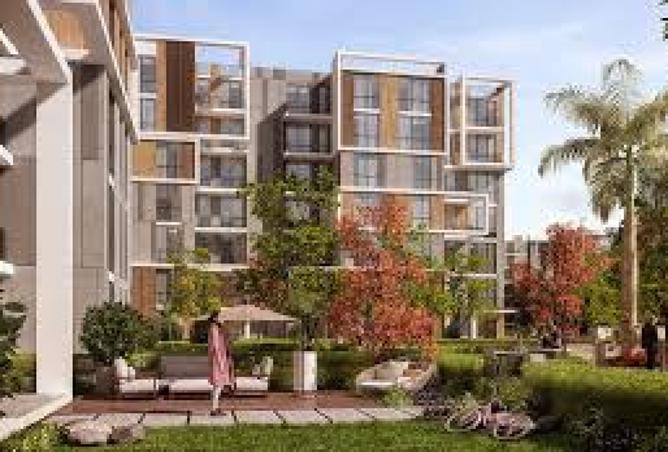 8118524 - Property Image 3