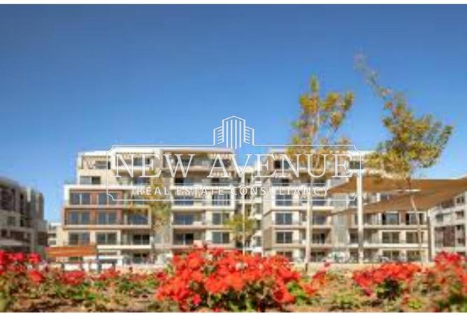 8338614 - Property Image 2