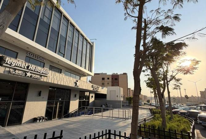 8119683 - صورة العقار 2