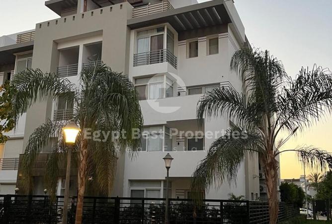 8128102 - Property Image 3